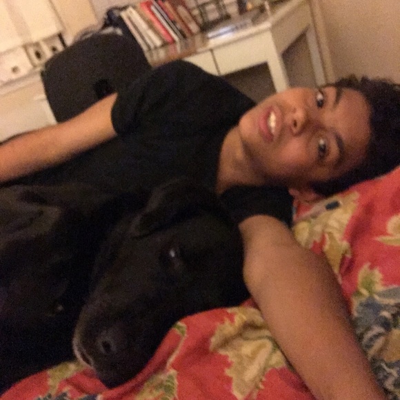 Meet your Posher, Sophia - Picture 4 of 5